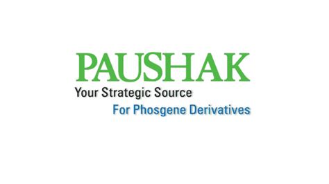 paushak ltd photos|Paushak Ltd: Fundamental Analysis .